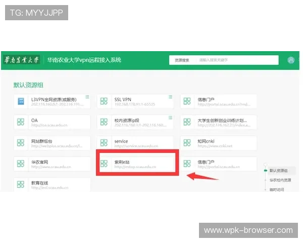 解决dg视讯网址无法访问问题的实用方法与官方推荐入口